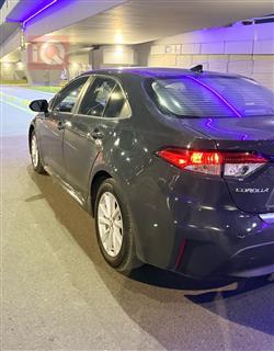 تويوتا كورولا